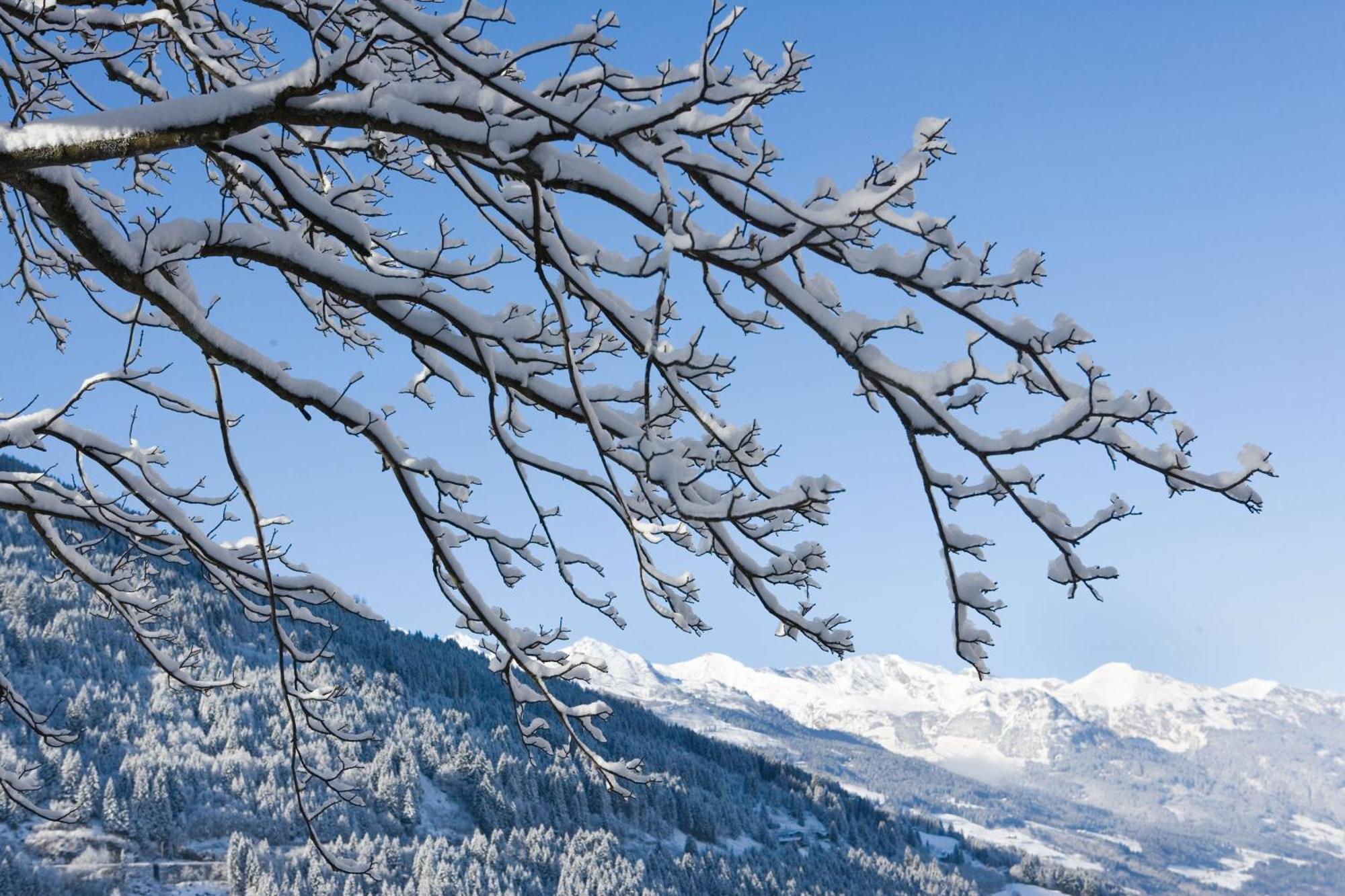 Alpine Spa Hotel Haus Hirt Bad Gastein Eksteriør bilde